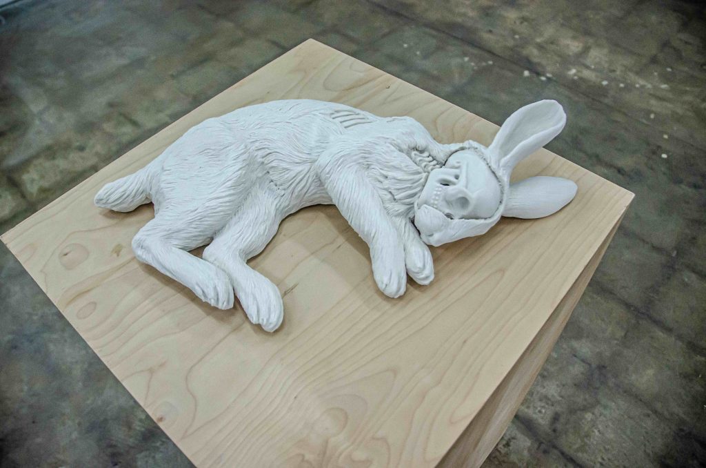 Kate MacDowell