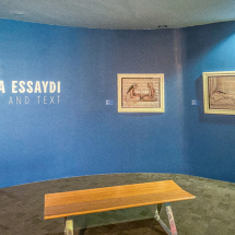 Artist Lalla Essaydi Image and Text , Patricia & Phillip Frost Art Museum