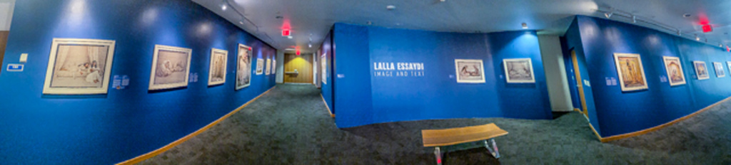 Artist Lalla Essaydi Image and Text , Patricia & Phillip Frost Art Museum