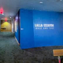 Artist Lalla Essaydi Image and Text , Patricia & Phillip Frost Art Museum