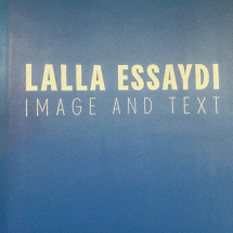 Artist Lalla Essaydi Image and Text , Patricia & Phillip Frost Art Museum