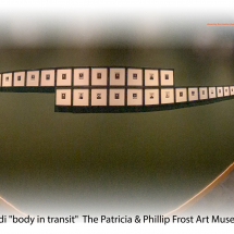 Rafael Soldi "a body in transit" The Patricia & Phillip Frost Art Museum's