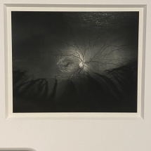 Rafael Soldi "a body in transit" The Patricia & Phillip Frost Art Museum's