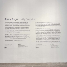 Avery Singer: Unity Bachelor, ICA, Miami